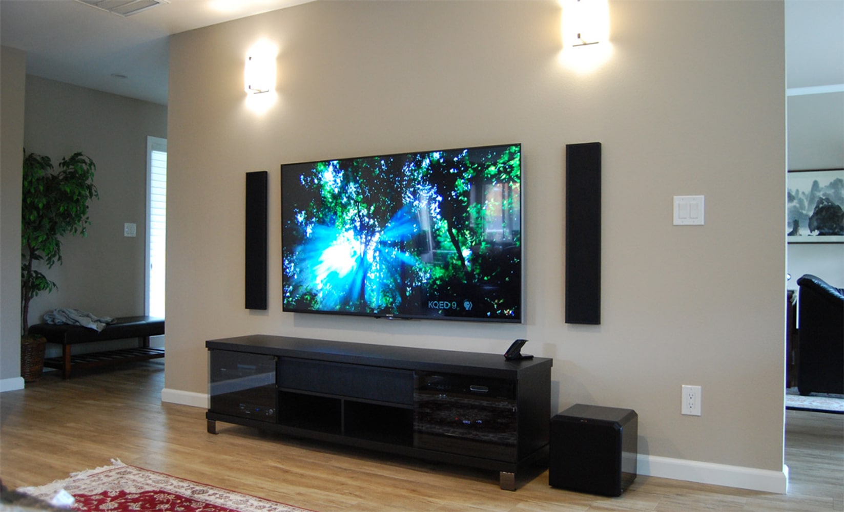 Danville TV and sound system