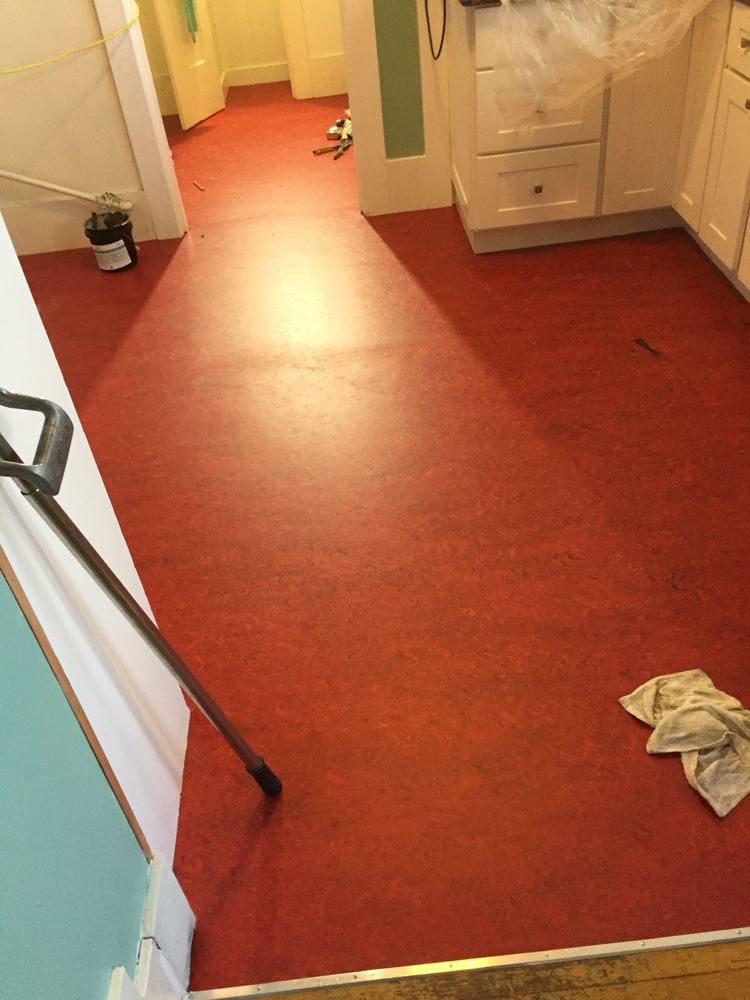 Hals Carpet & Vinyl Project