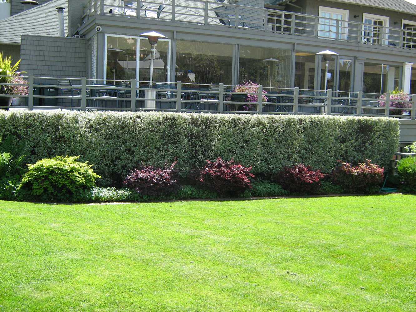 Frank Jaffe Landscape Services Project