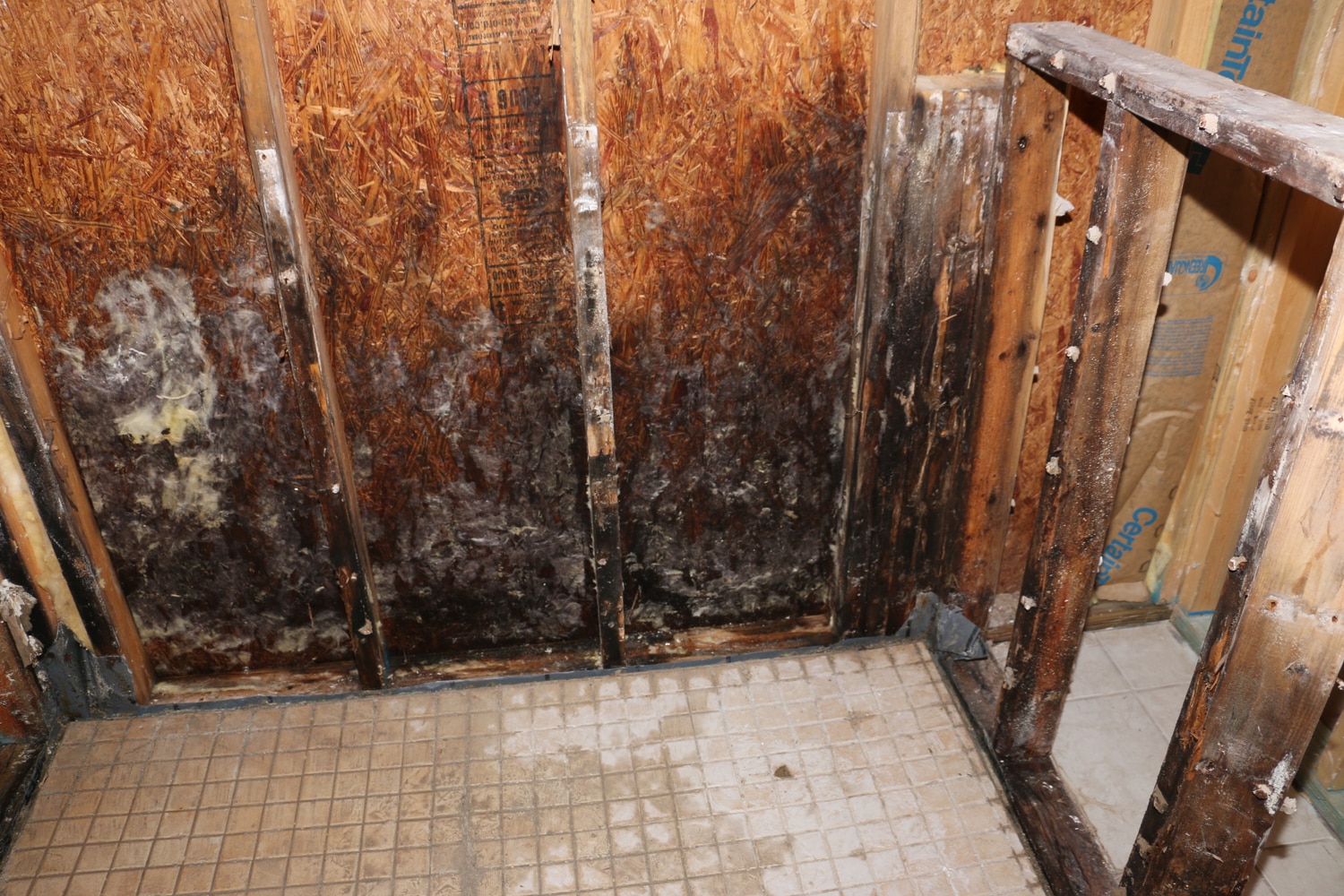 Elegant Master Bath Remodel 2016