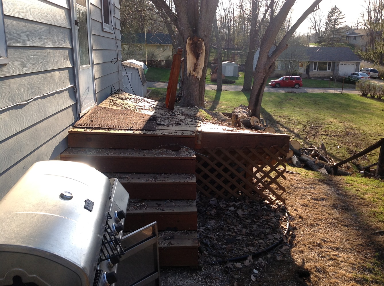 Tree Damage in Redwing