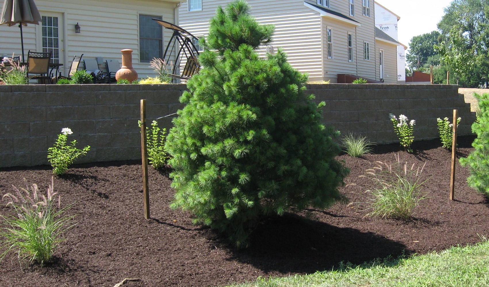 Projects completed by Red Rock Landscape Inc