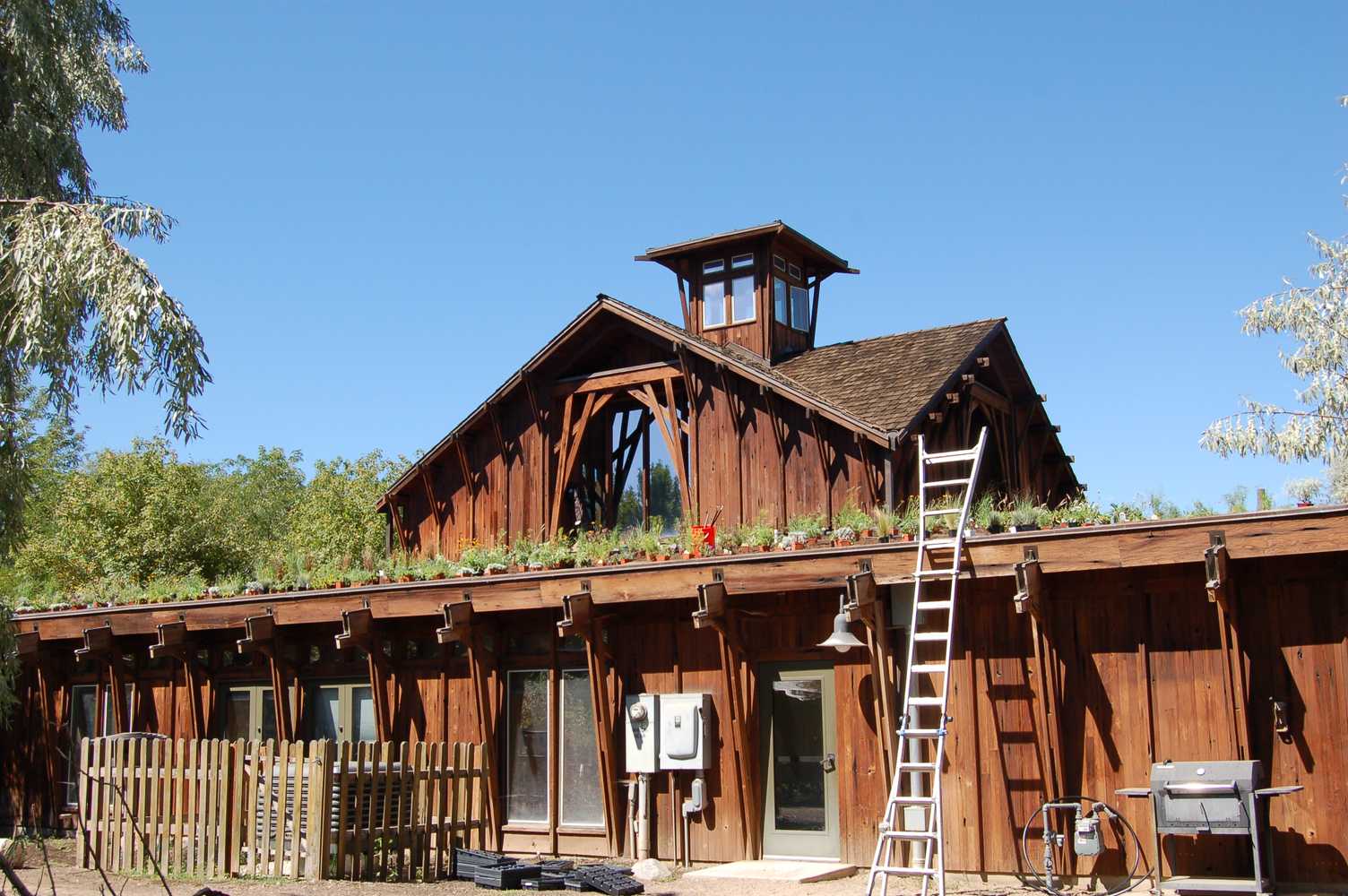 Garden Roofs