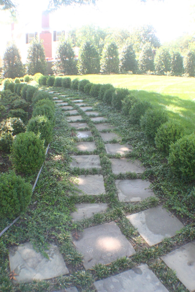 Richmond Commercial Landscaping