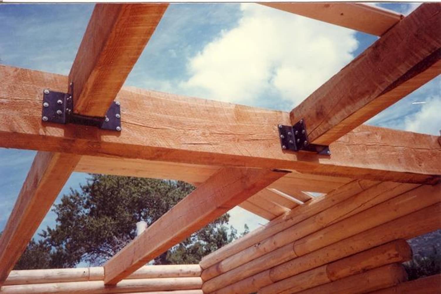 Wilderness Building Systems Project