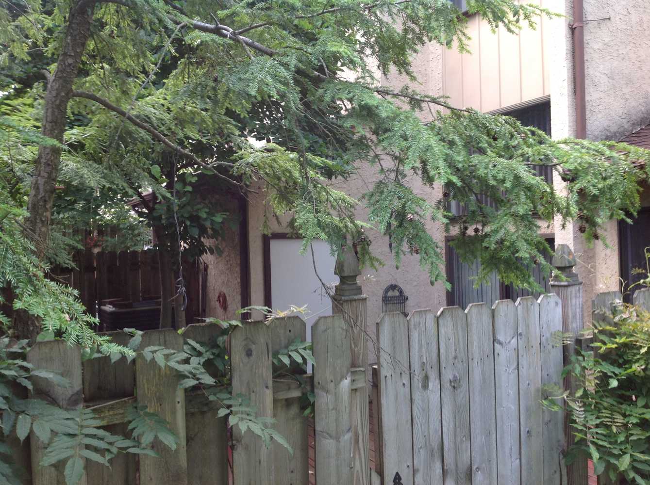 Exterior Stucco Power wash and repaint Photos