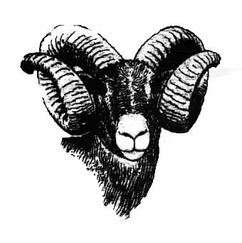 Texas Ram Services, Inc.