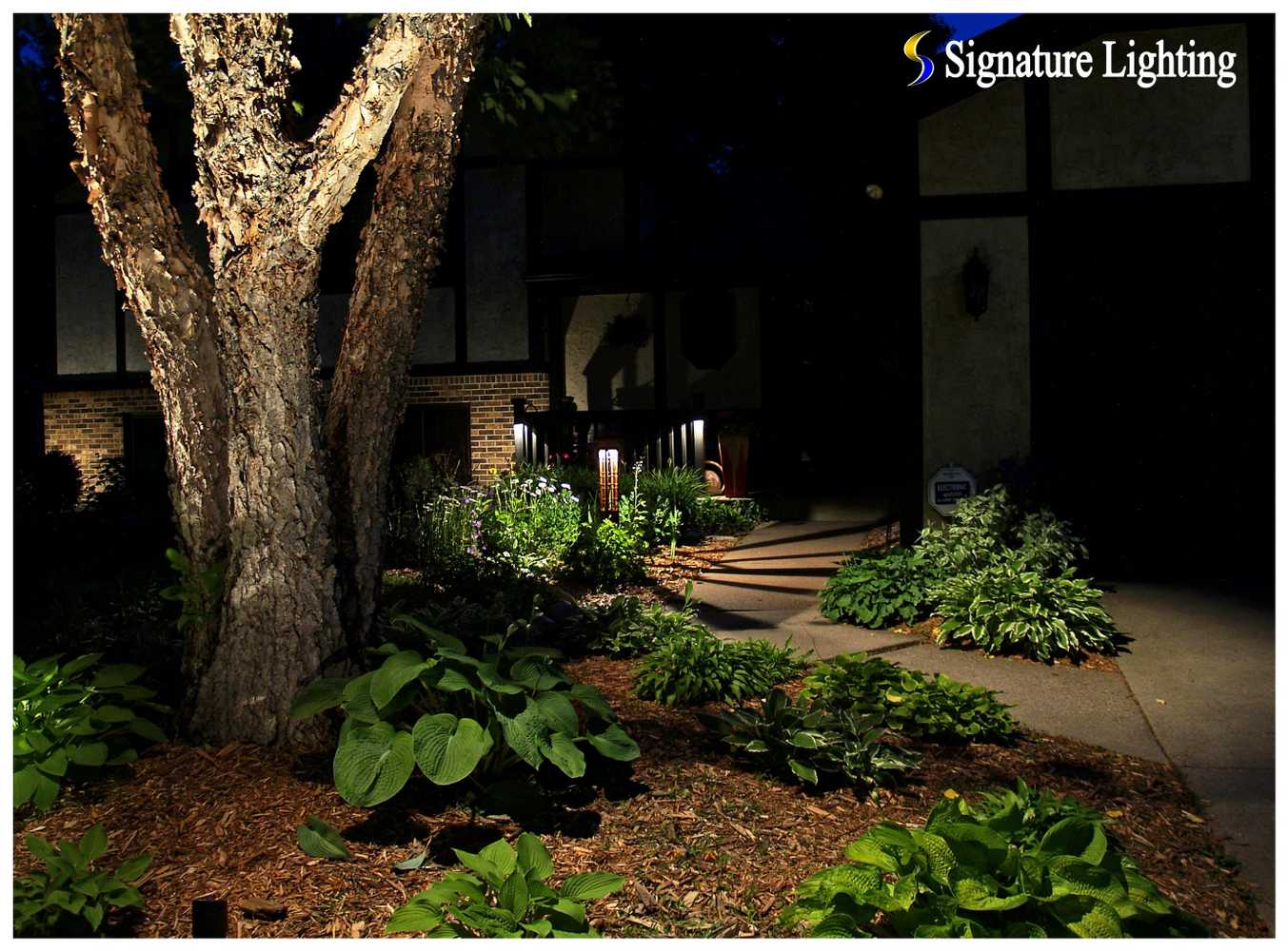 Landscape Lighting