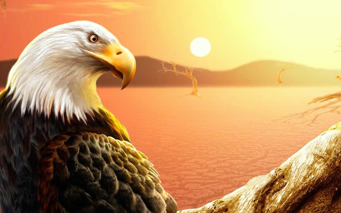 Grateful Construction Llc