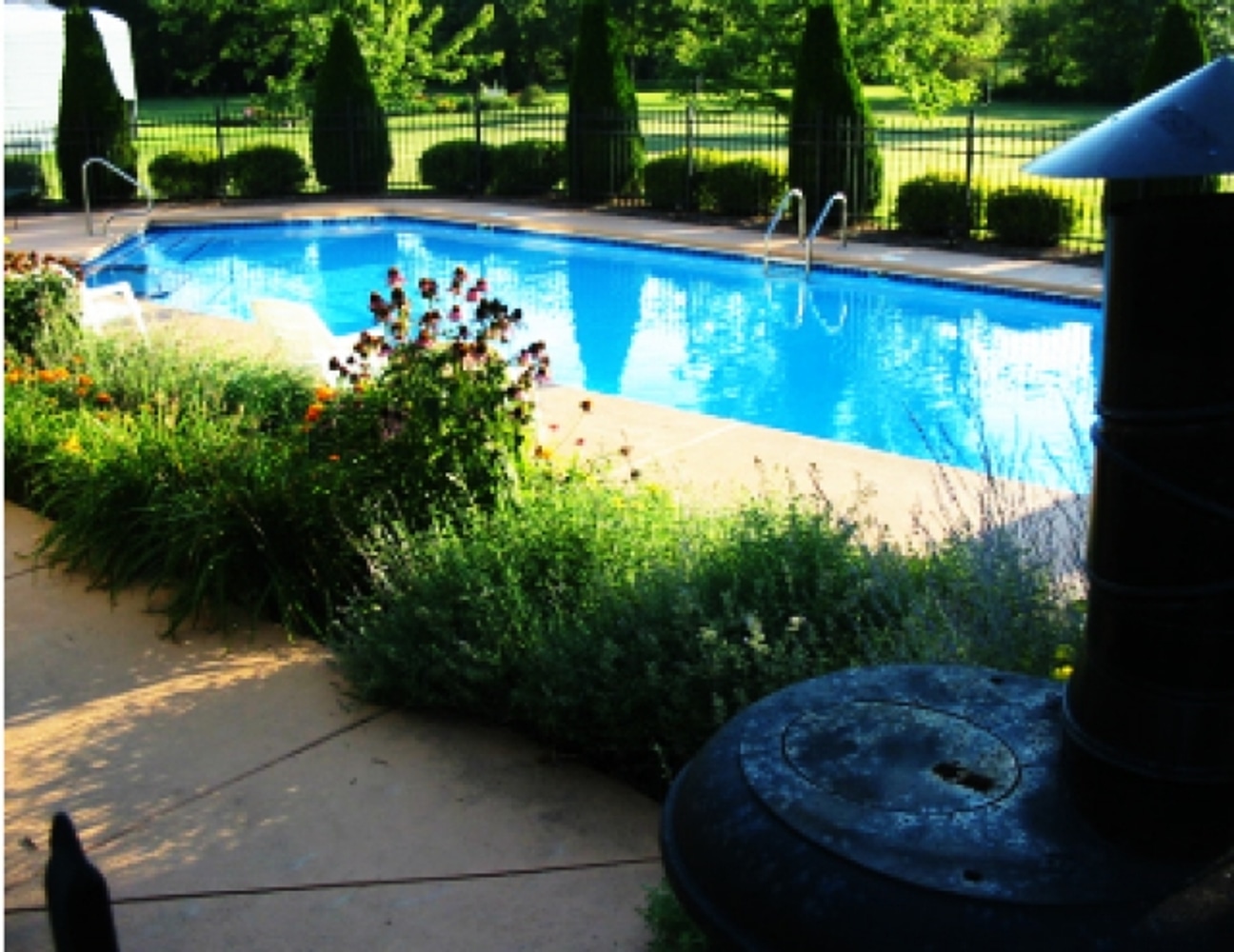 Custom Pools by Bonema Construction