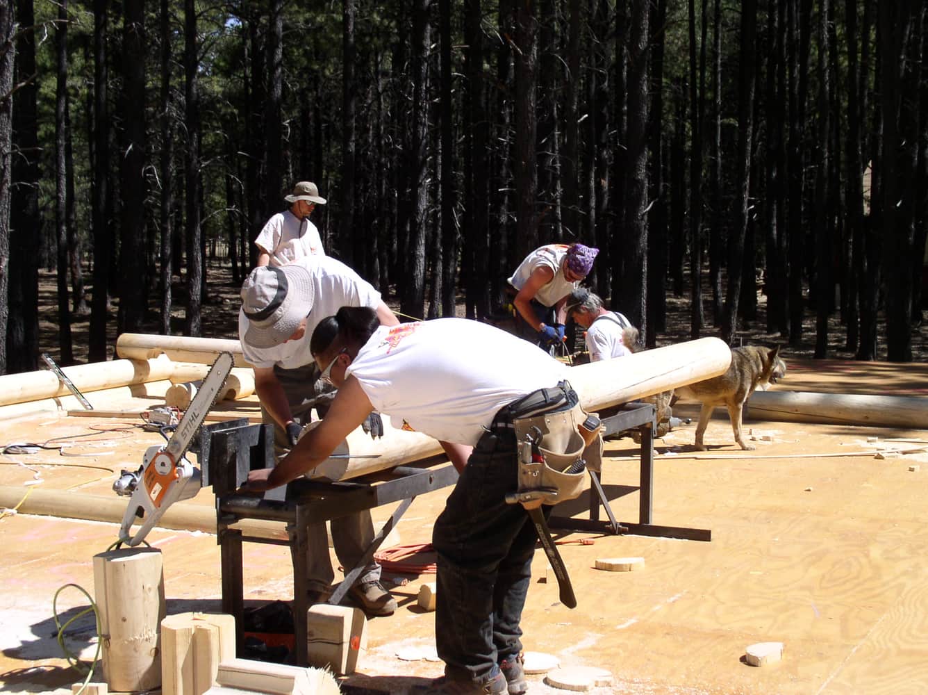 Random MFC Site Pictures