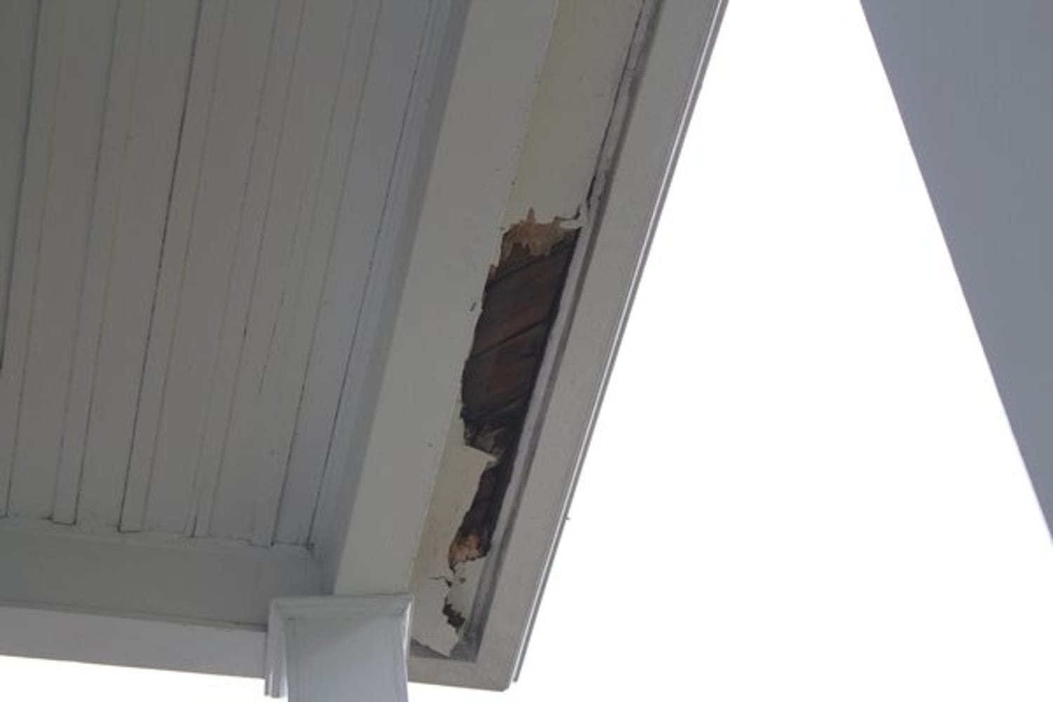 Projects by Affinity Painting Inc.