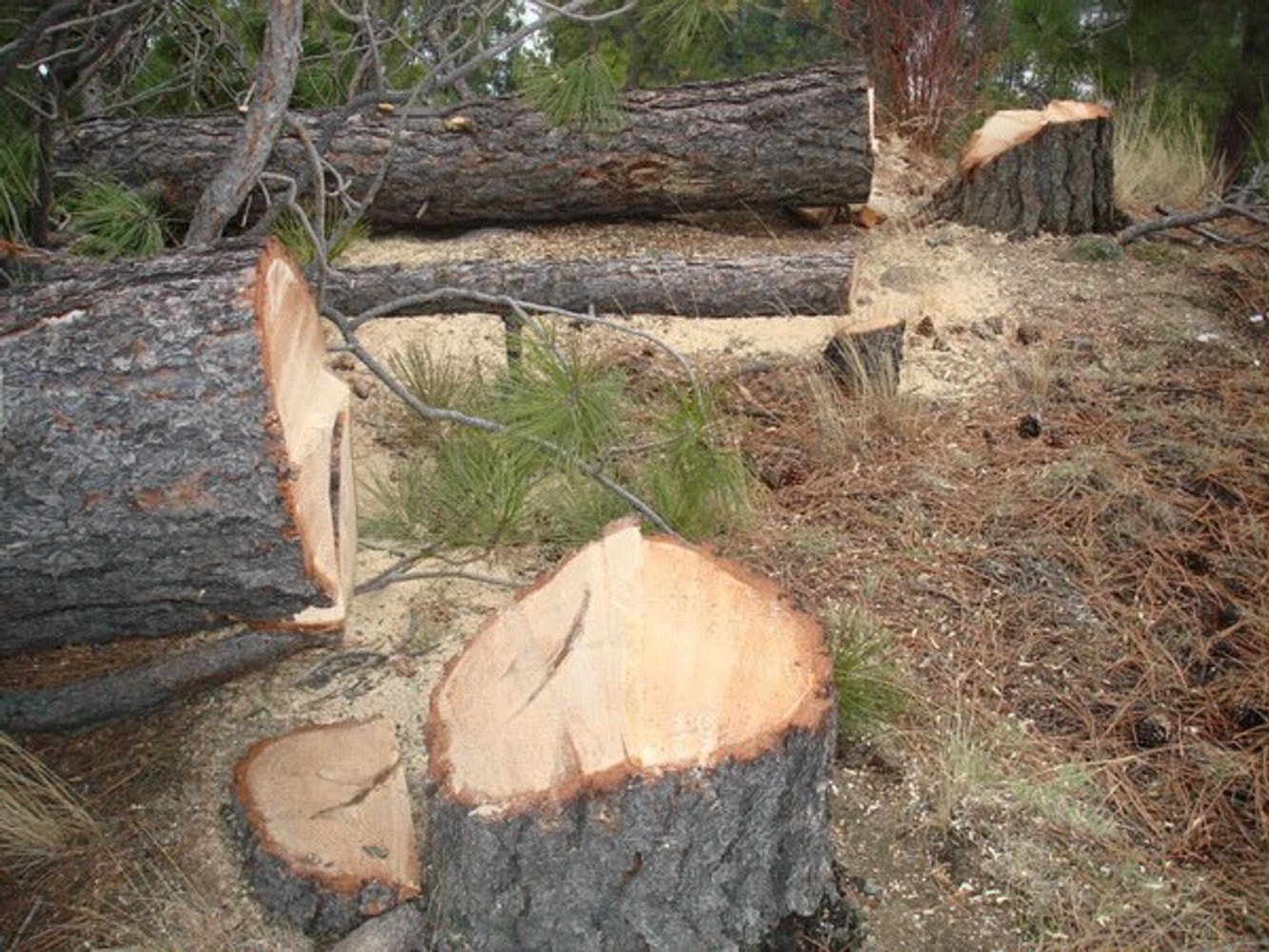 Photo(s) from Fair And Square Contracting