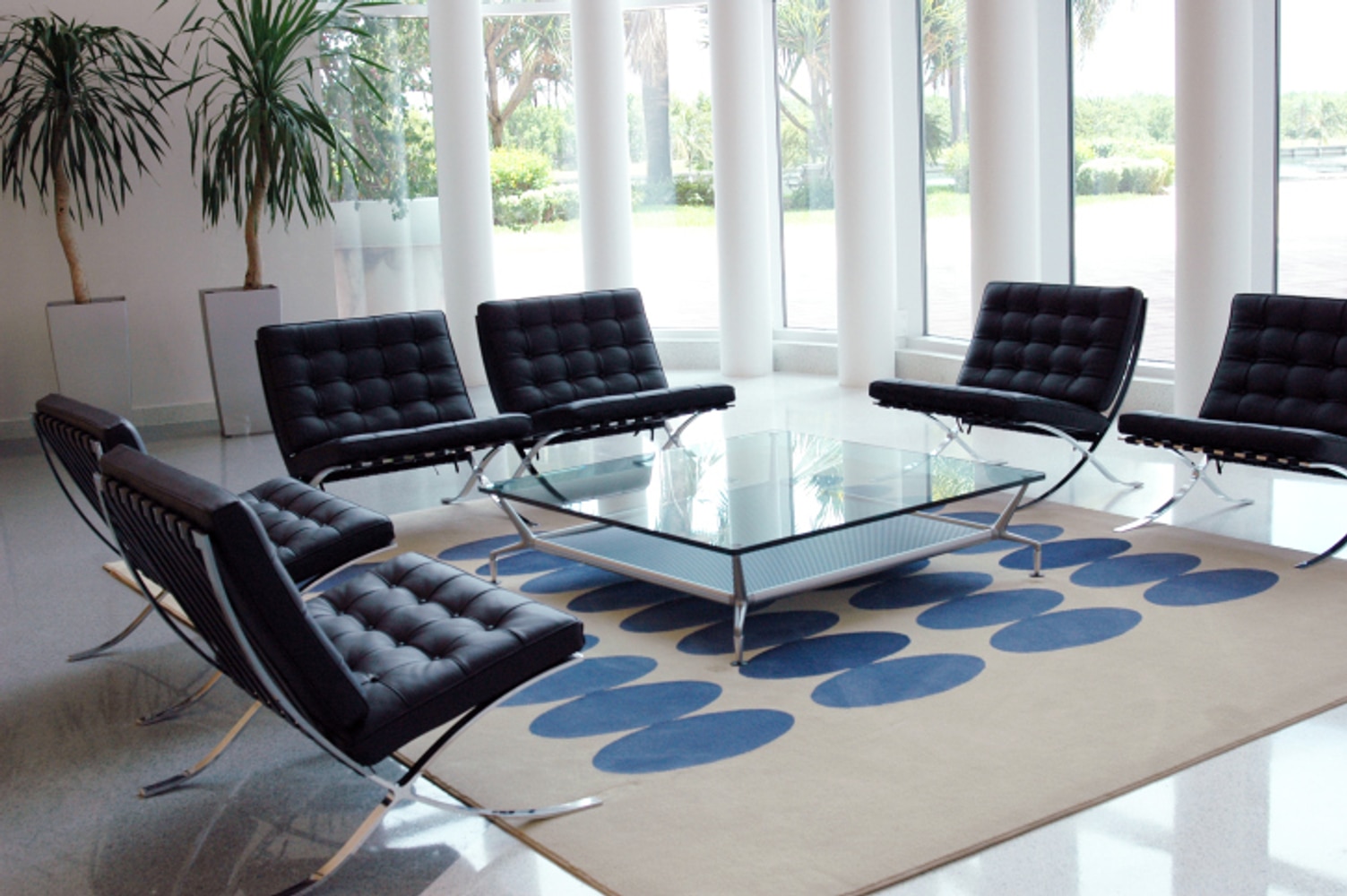 A Fresh Look Carpet Cleaning Project