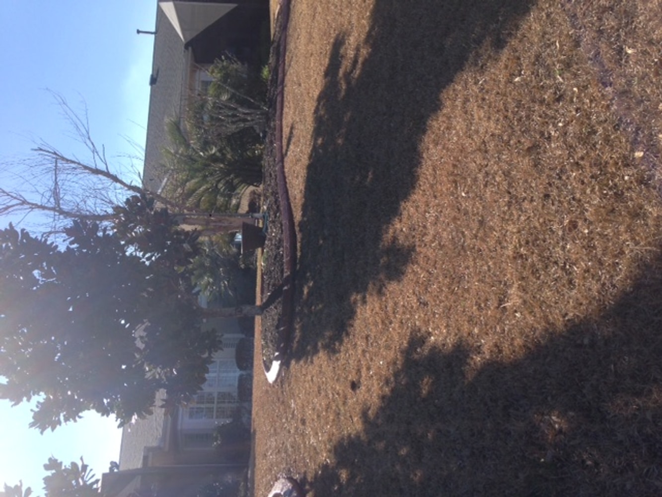 Photos from Coastal Curbing