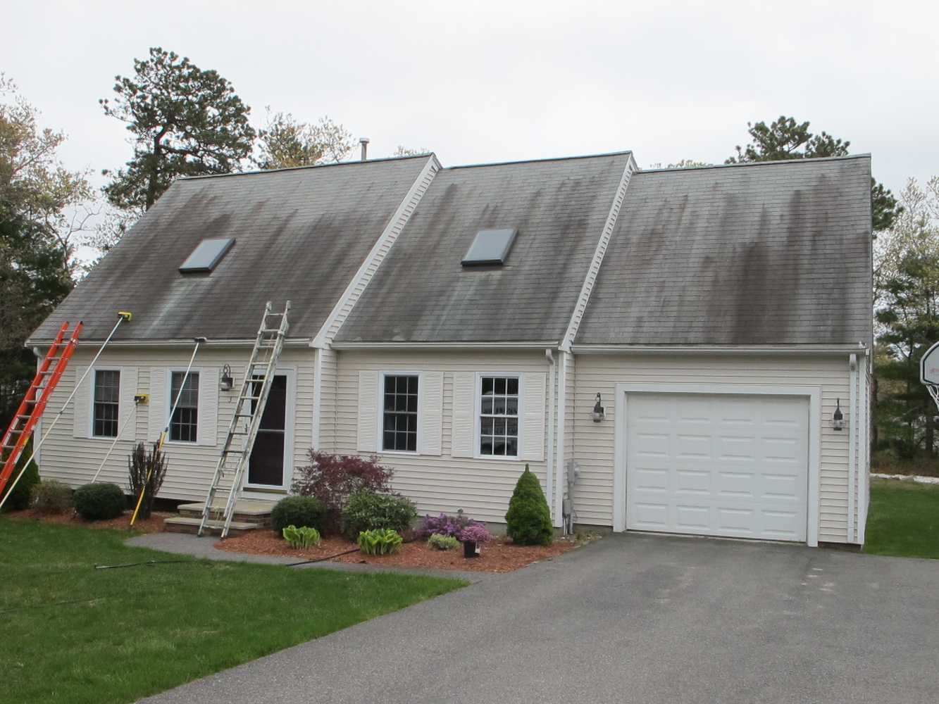 Roof Cleaning