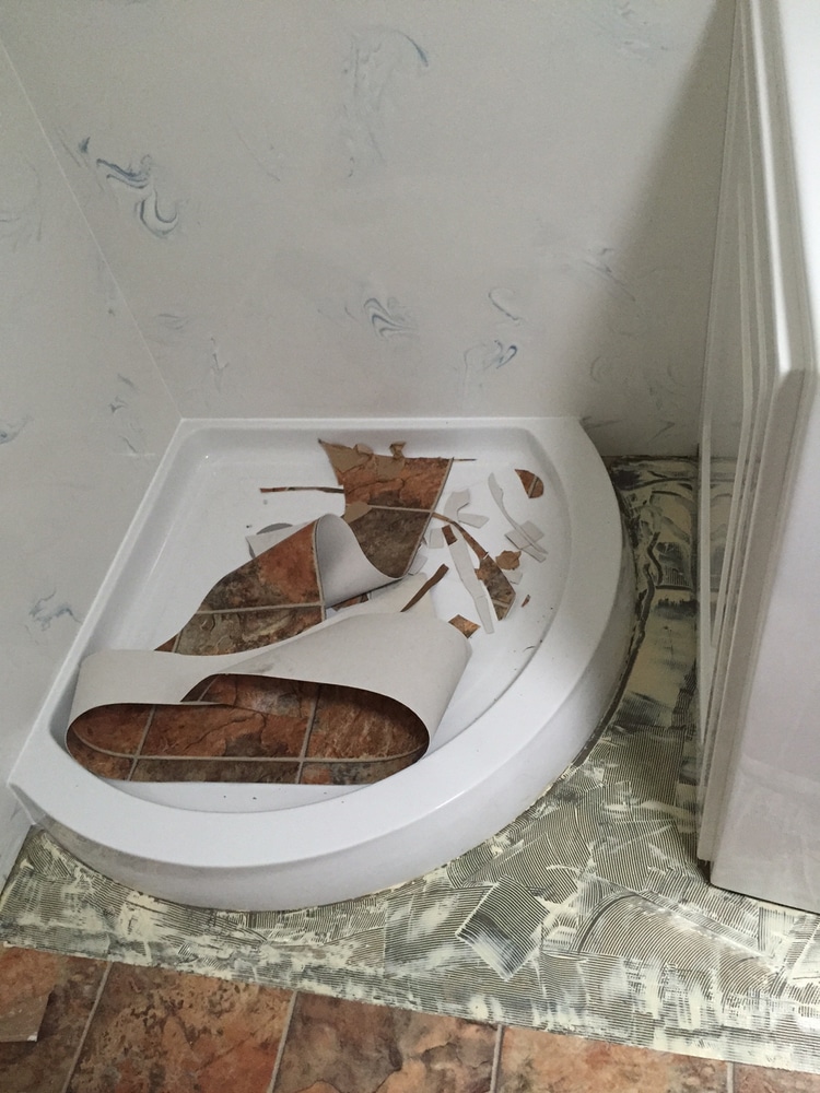 Hals Carpet & Vinyl Project