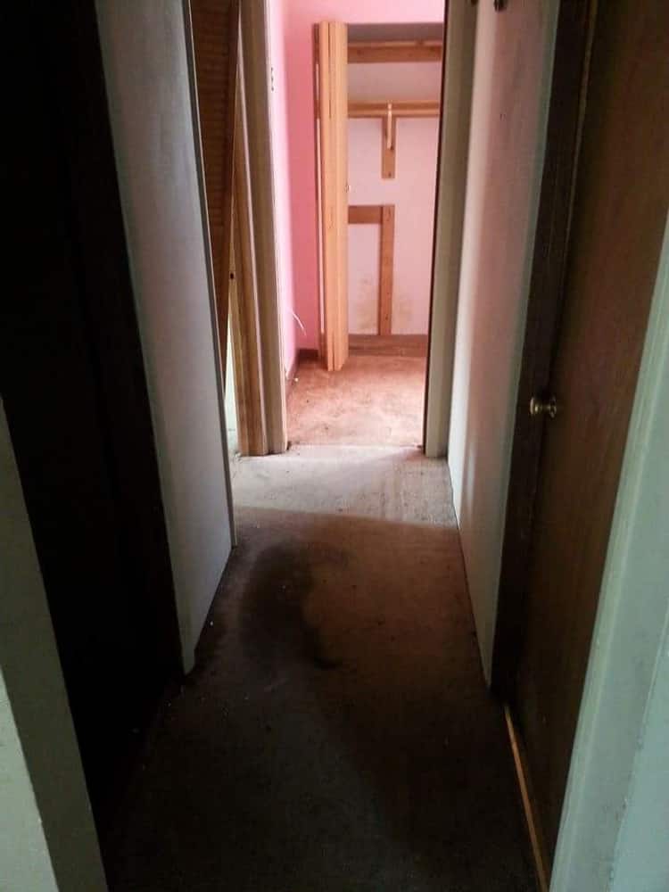 Photo(s) from Silver Square Homes Llc