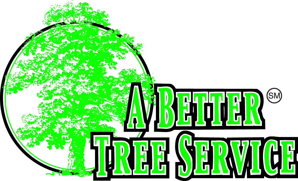 A Better Tree Service