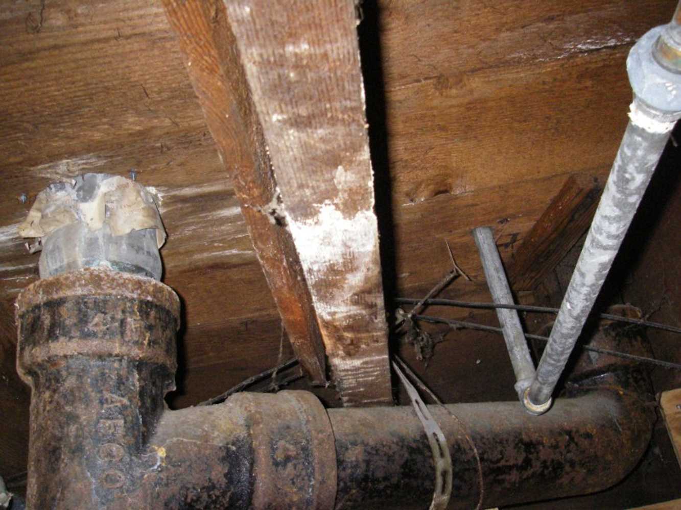 Photo(s) from On-the-Spot Mold Services