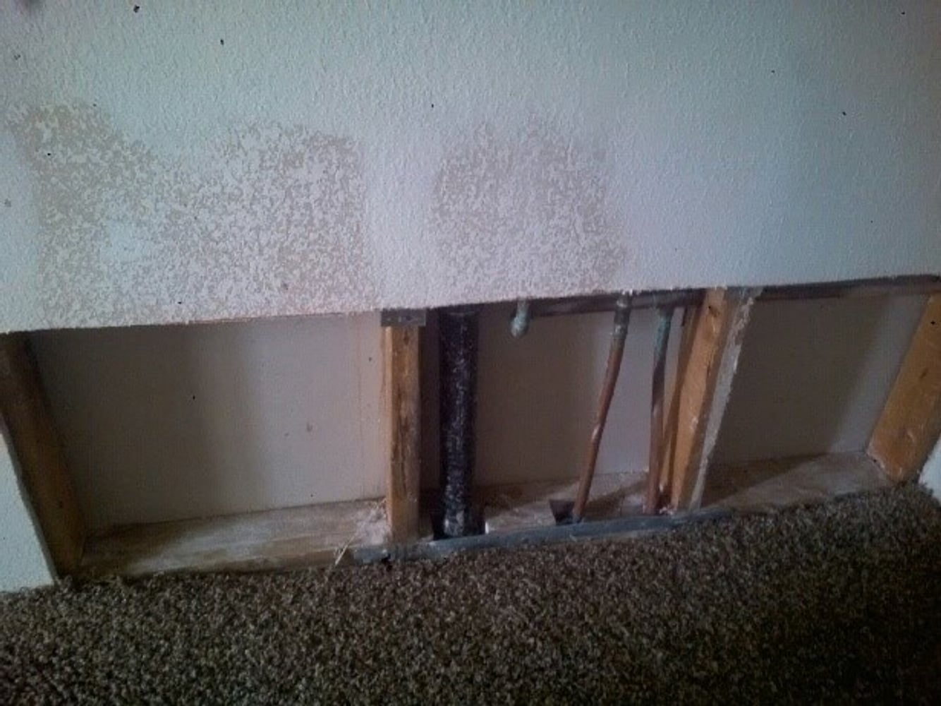 Photo(s) from Moldfixer San Diego