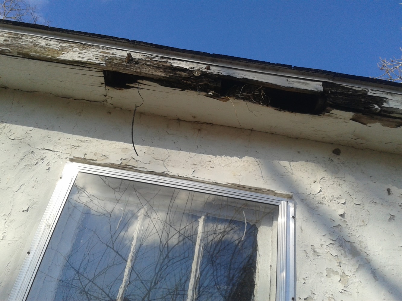 Photo(s) from Rainey Day Investments Llc