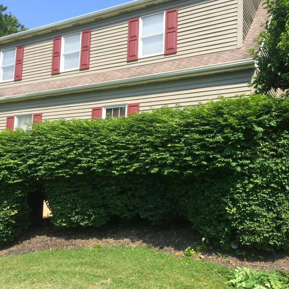 Photos from Superior Land Care Inc