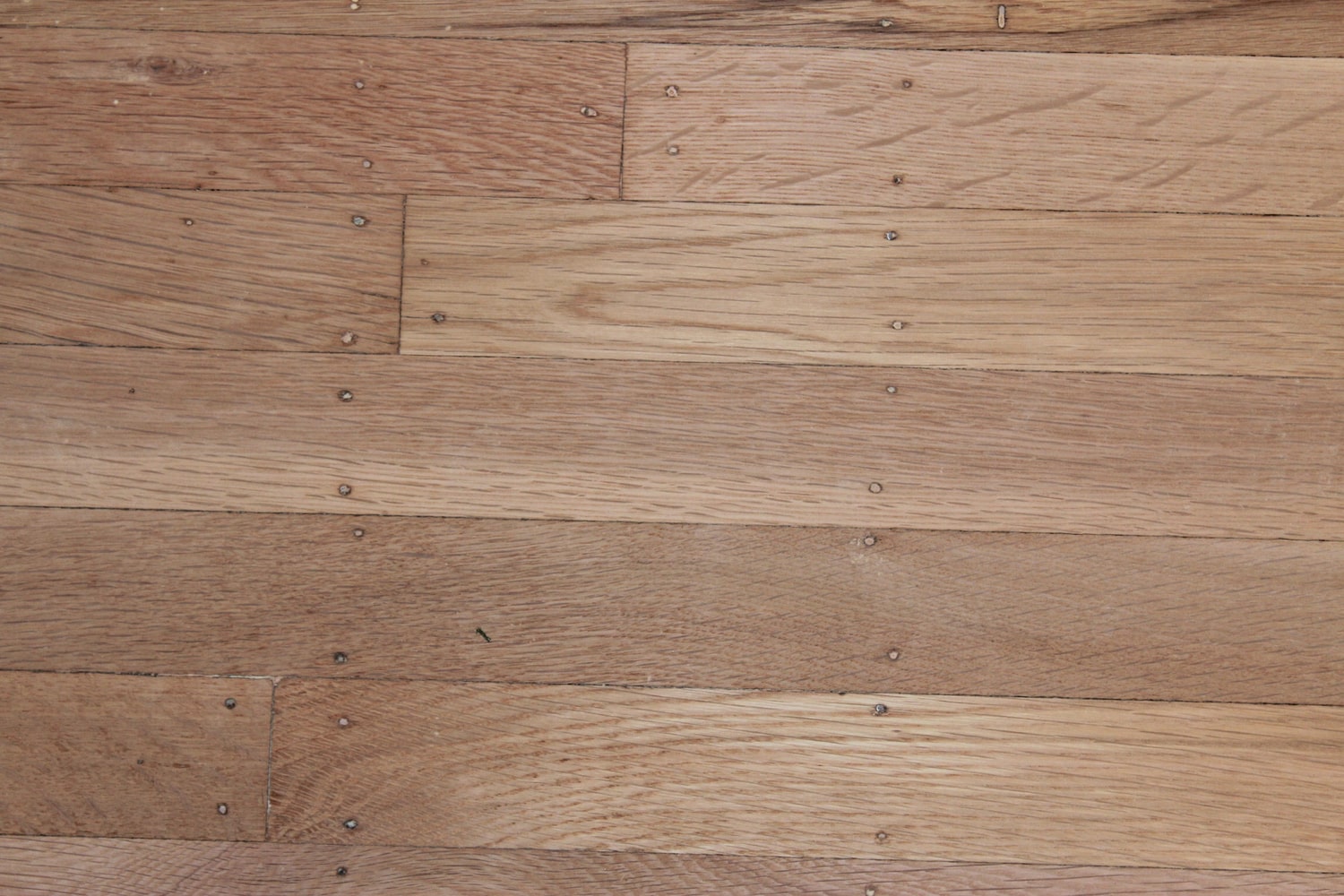 Samples and projects. 