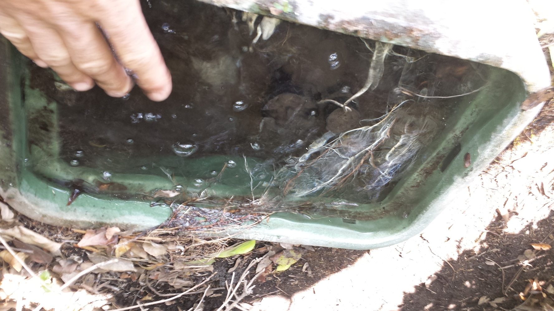 The Complete Yard Service Project