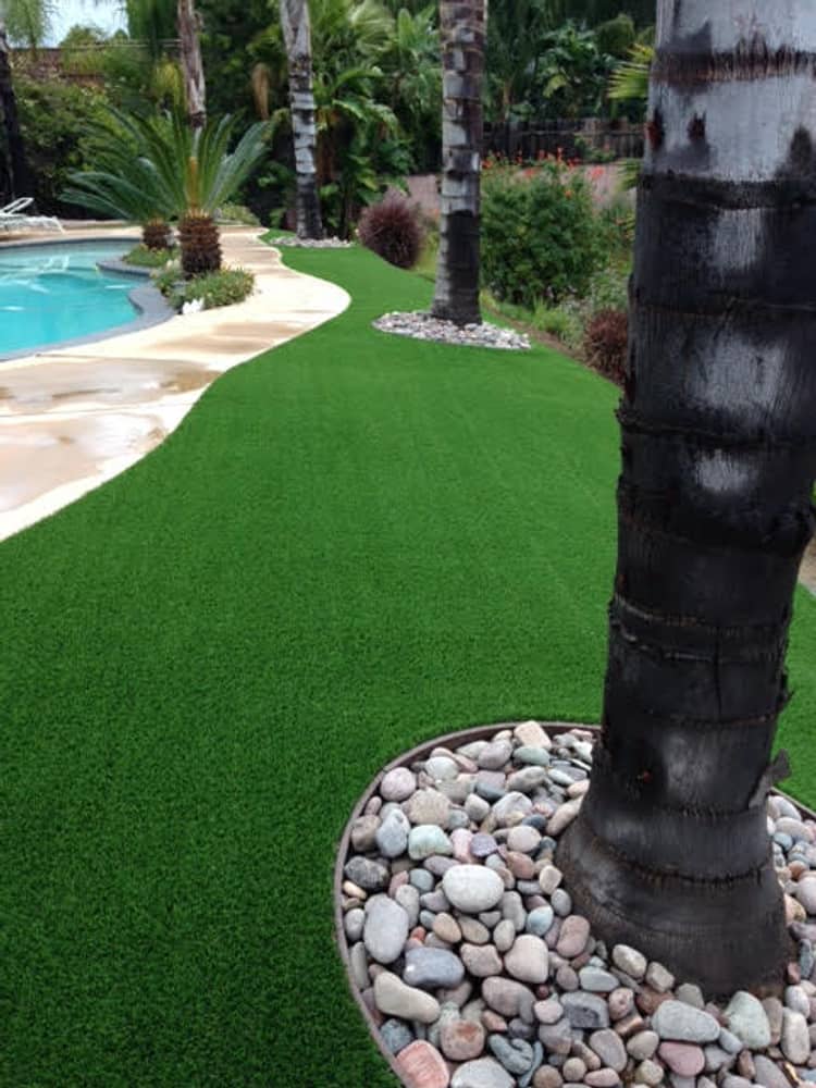 Drought Resistant Landscape Ideas