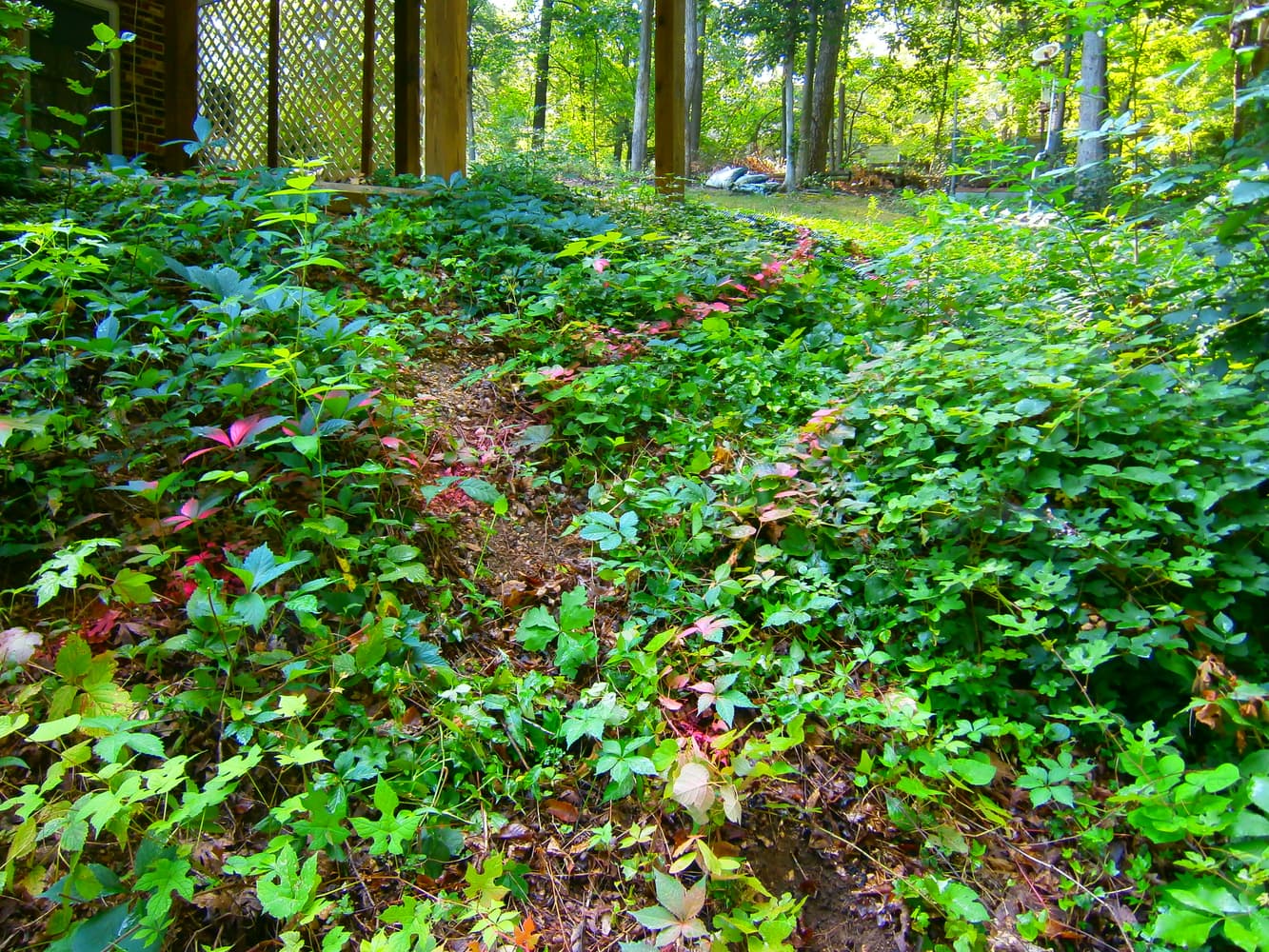 Stone Terraced Retaining Walls