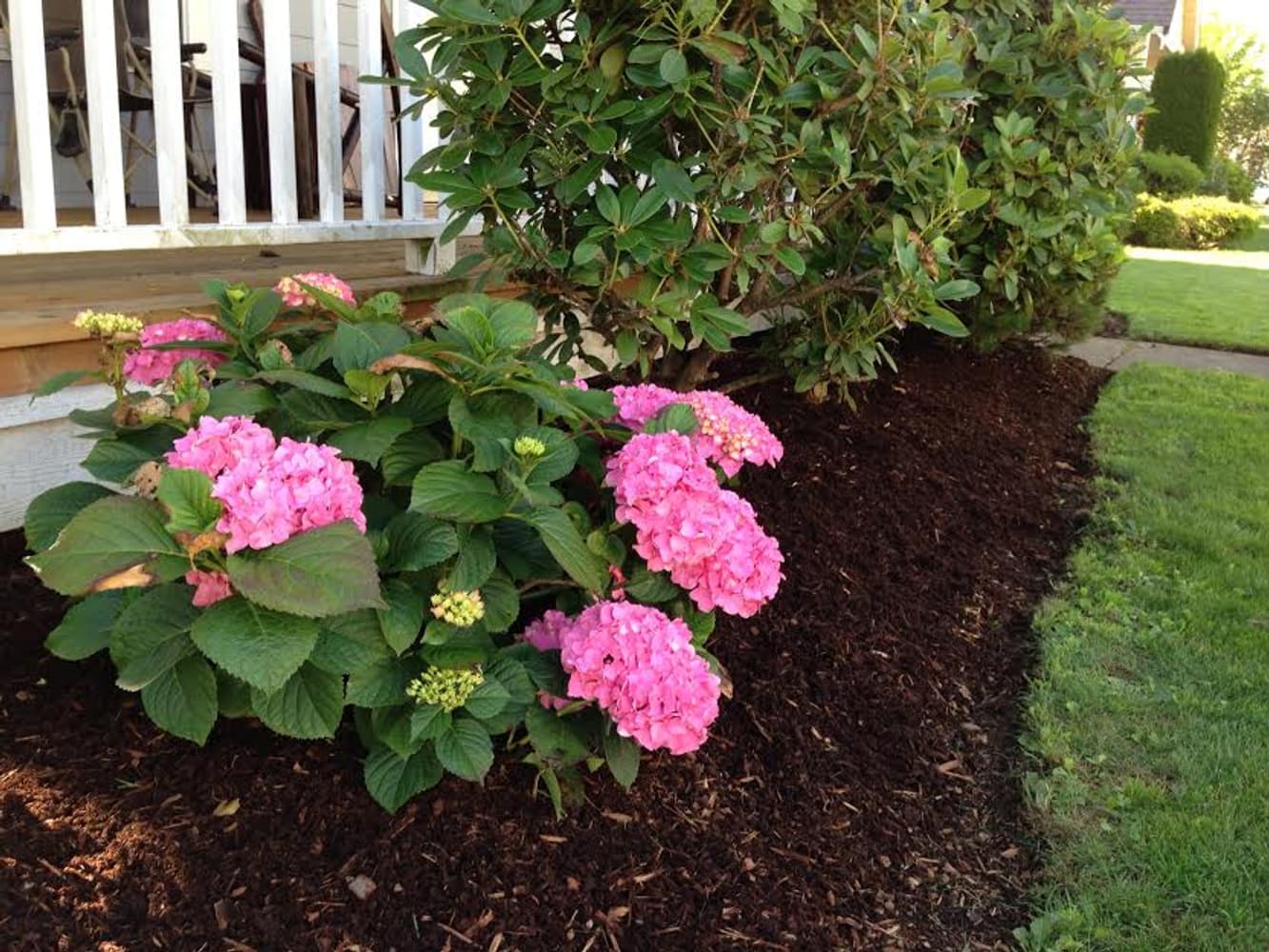 Lgm Outdoor Services