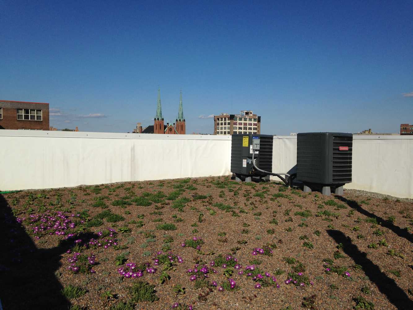 Vegetated Roofs