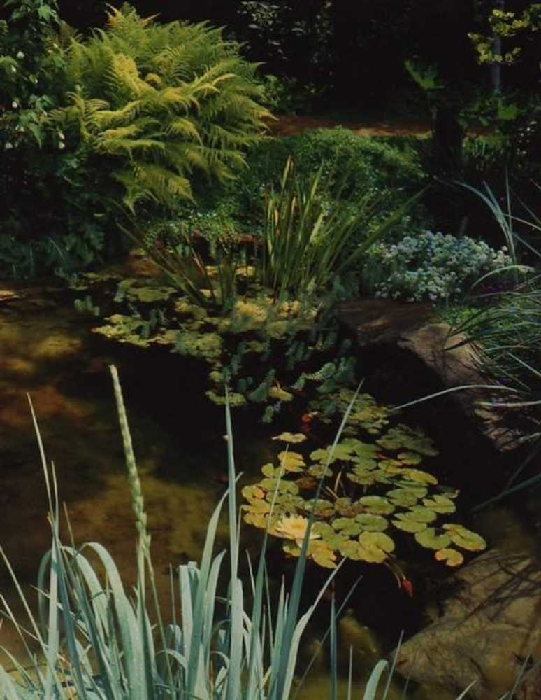 Pools, Spas, Water Features