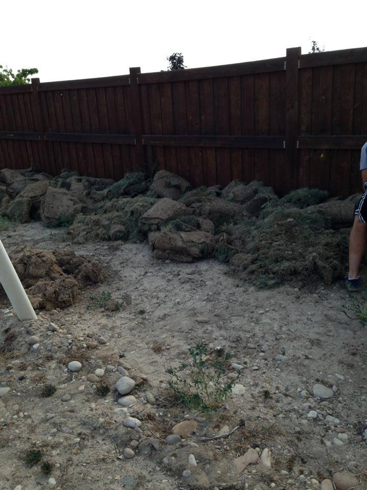 M&M Clean ups Photos