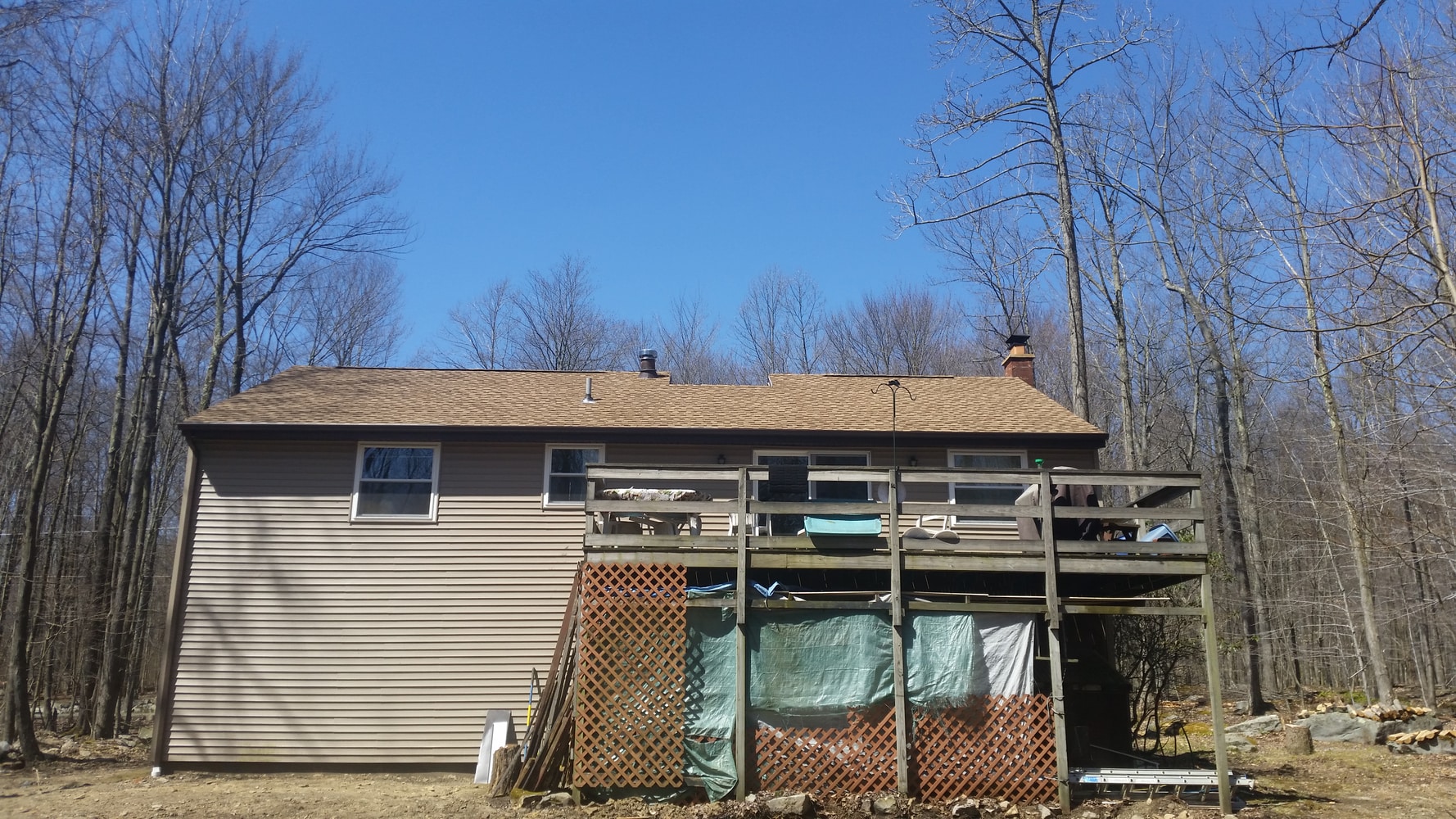 Window, Door, Fascia, Gutters, and a New Roof