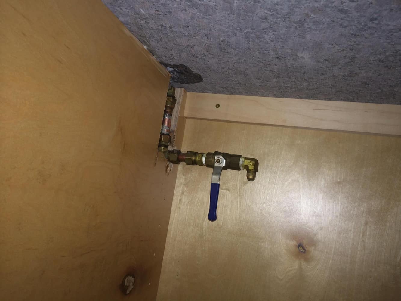 Photo(s) from Prevent Nothing Without Labor Llc