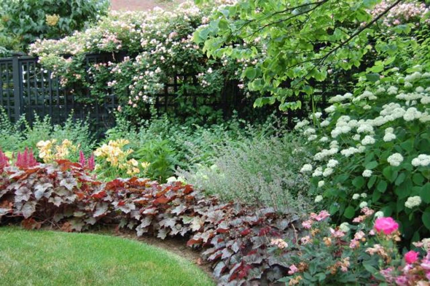 Colorful Backyard Landscape