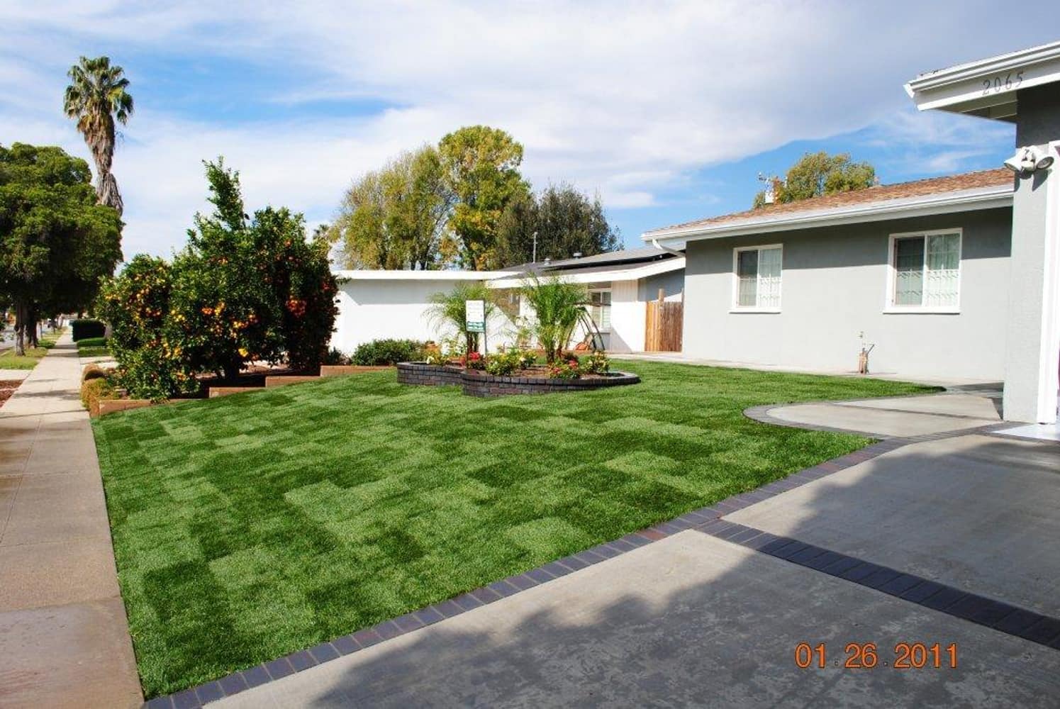 JACK'S NEW FRONT YARD