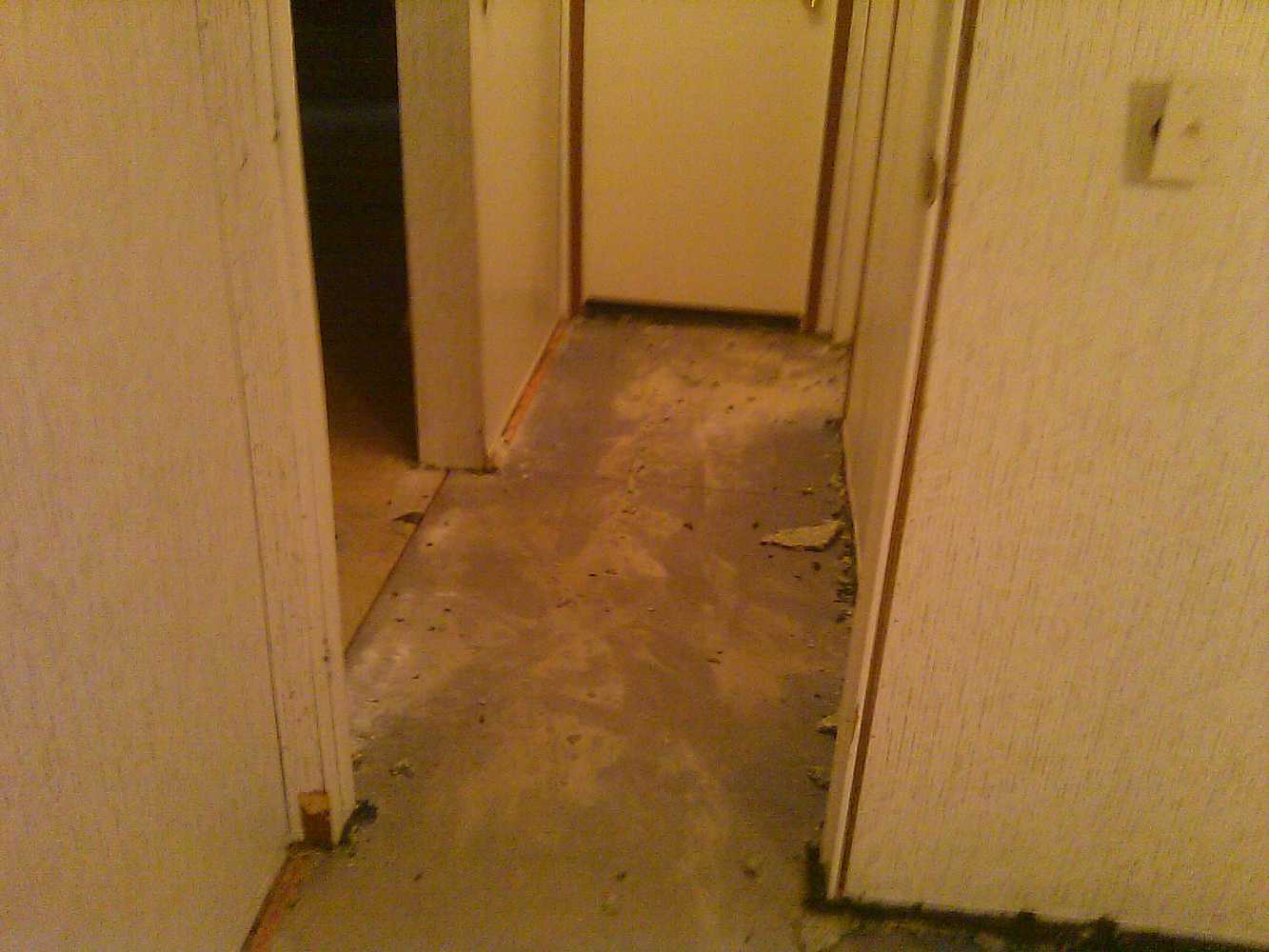 Complete renovation due to mold infestation. 