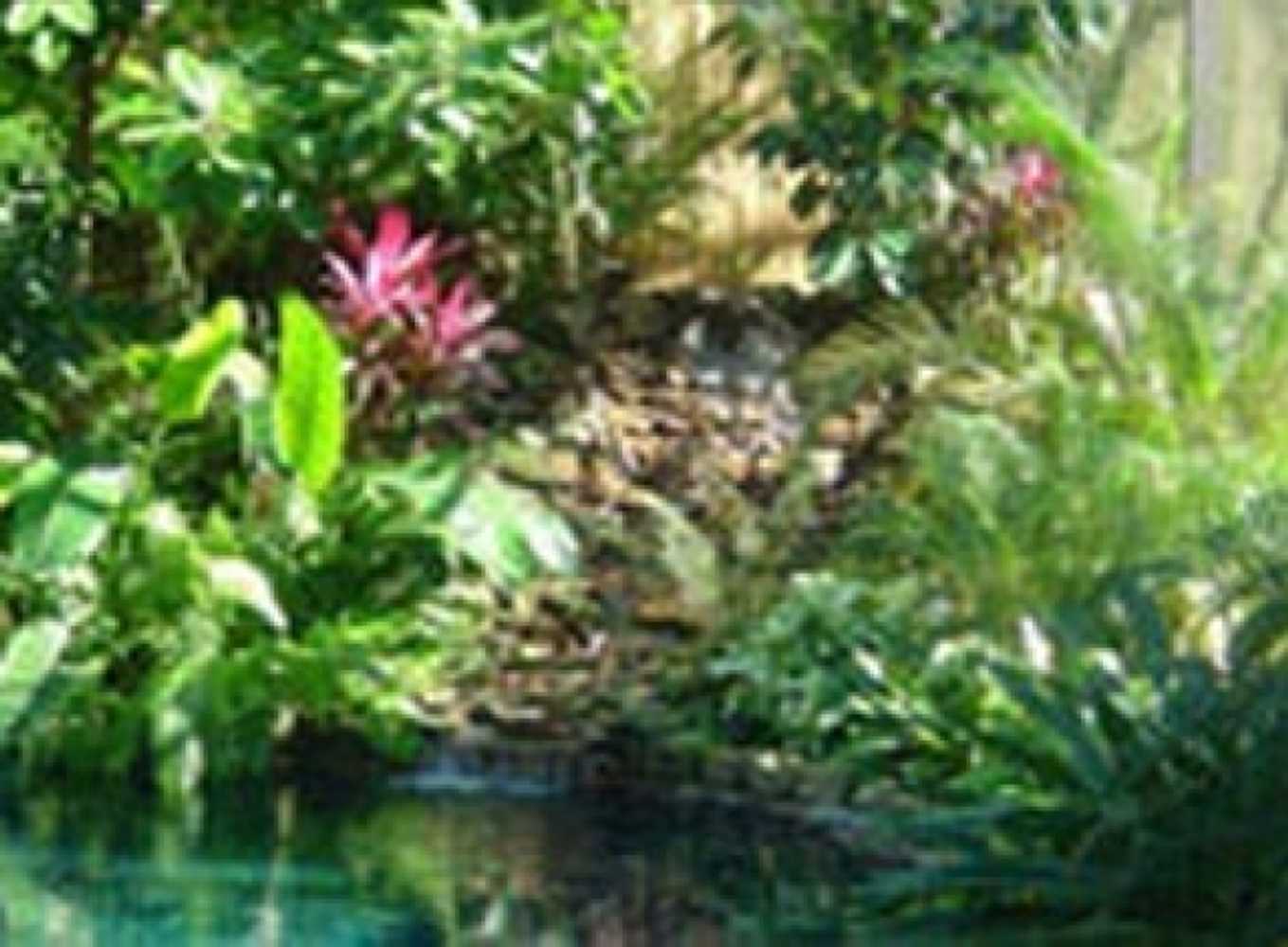 Ponds and Water Features