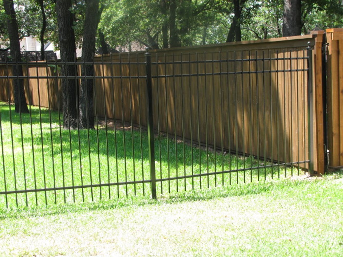 Photo(s) from Backyard Brilliance