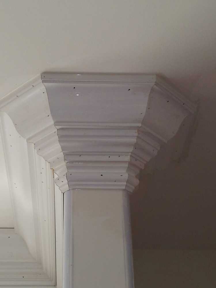 Ondalevel Construction LLC Project