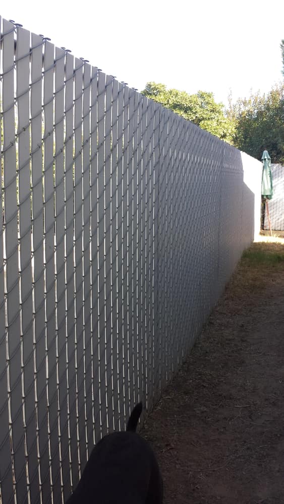 Privacy Fencing