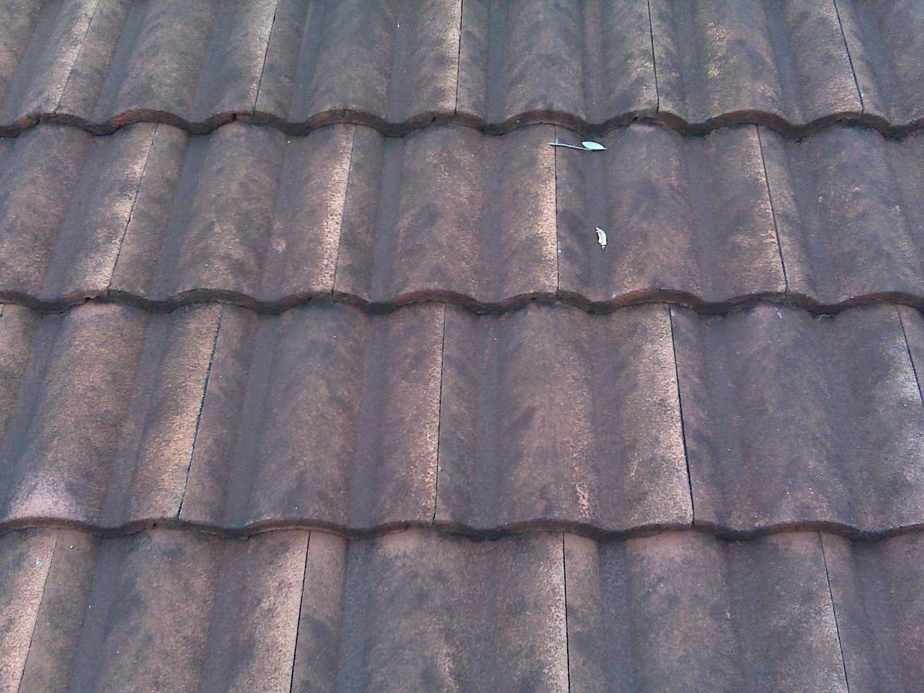 Roof Cleaning