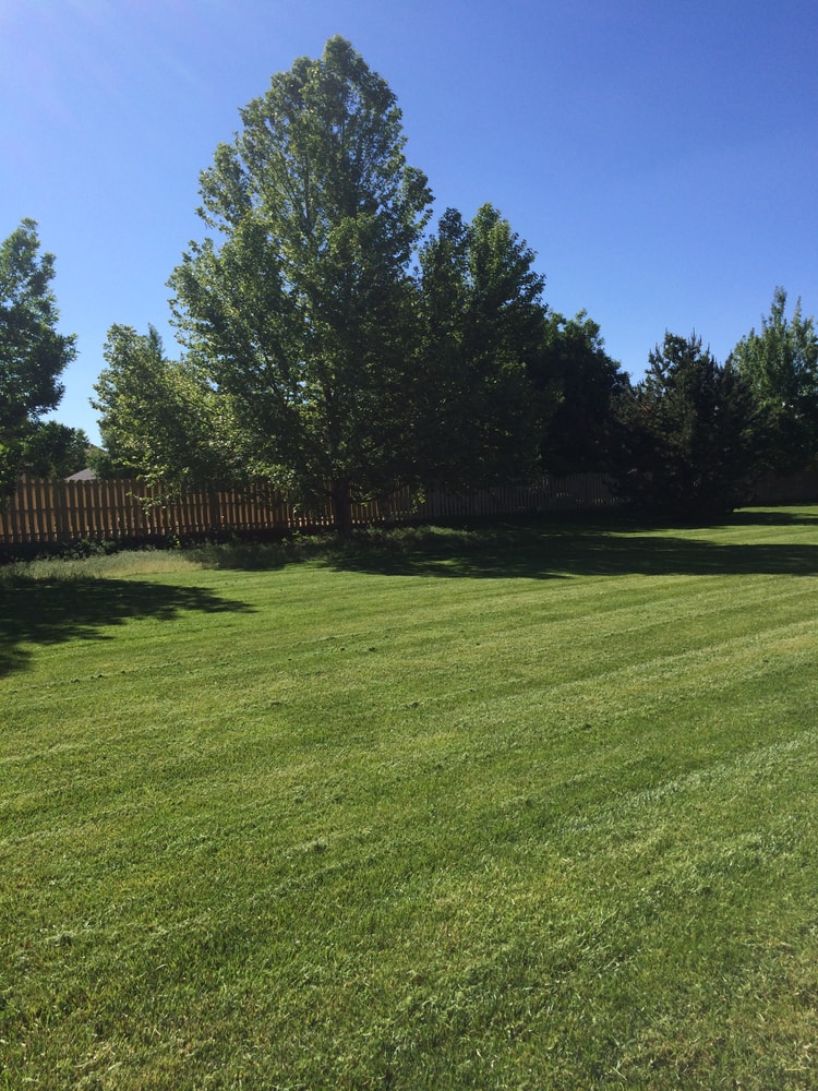 Lawn Care & Maintenance