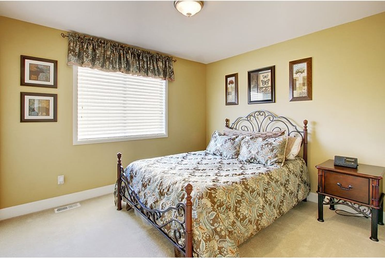 Photos from fresh coat