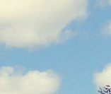 Saxtons River Solar Electric