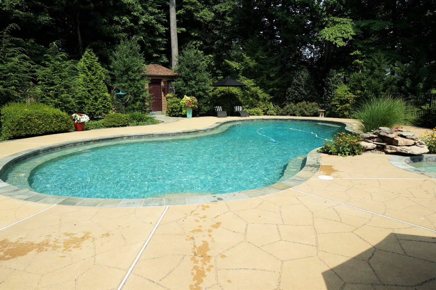 Photos from Crystal Blue Aquatics Llc