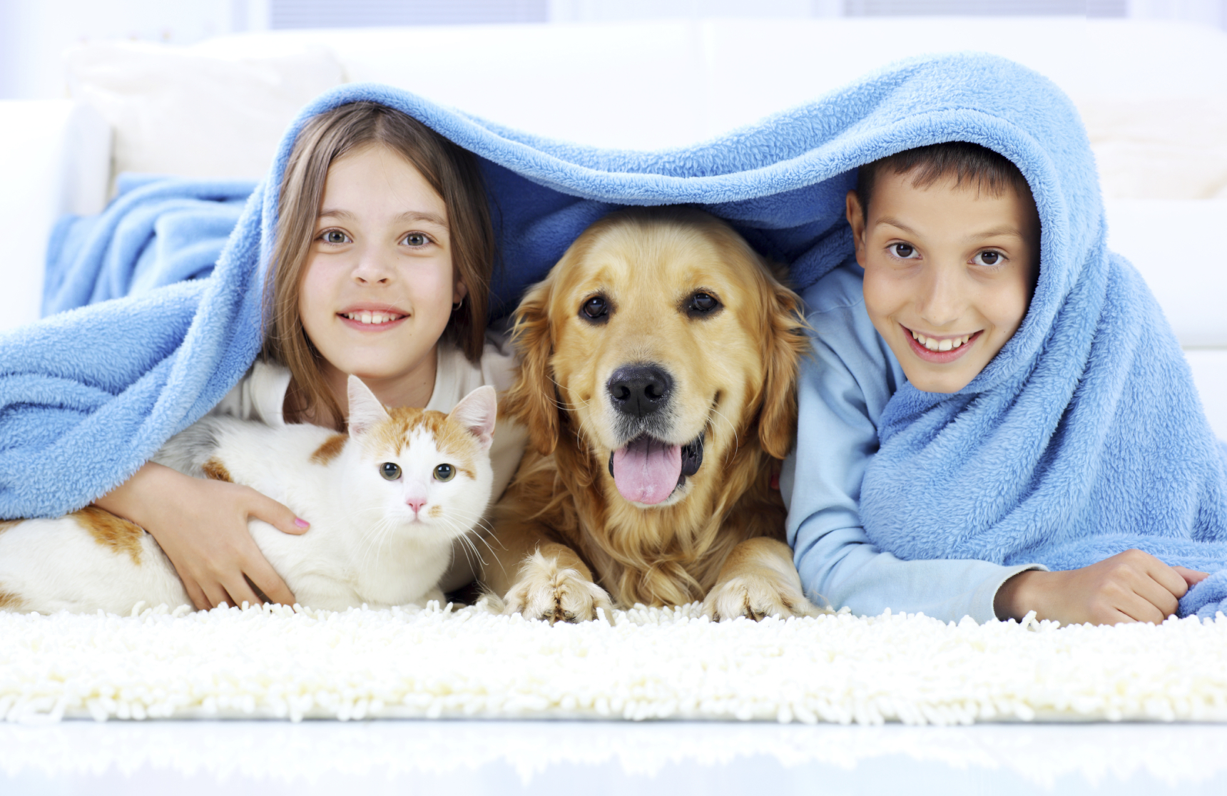 Security Systems LLC